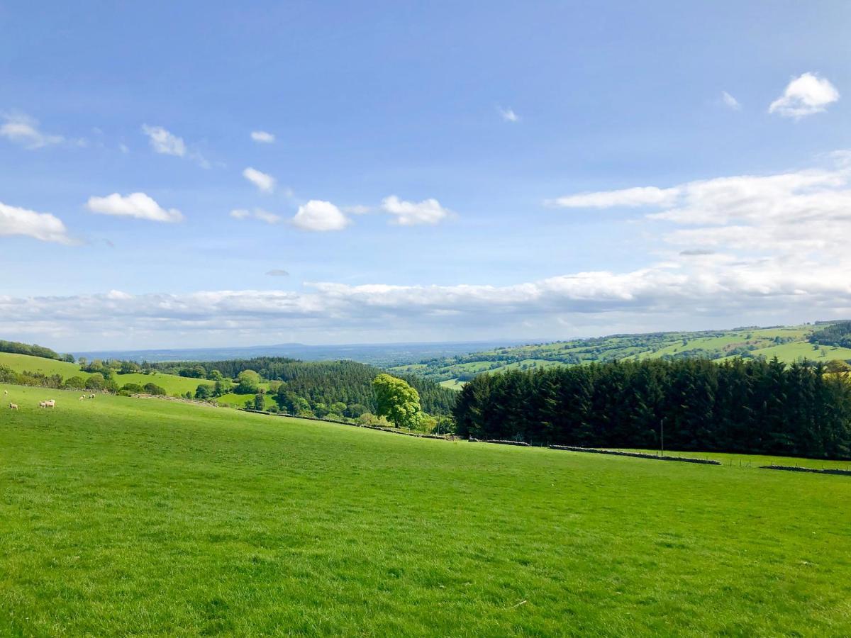 Вилла Pant Dafydd Goch Glyn Ceiriog Экстерьер фото